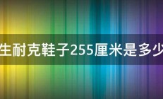 男生耐克鞋子255厘米是多少码 