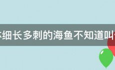 身体细长多刺的海鱼不知道叫什么 