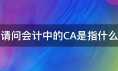 请问会计中的CA是指什么 