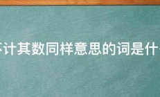 不计其数同样意思的词是什么 