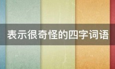 表示很奇怪的四字词语 