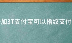 一加3T支付宝可以指纹支付么 