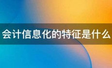 会计信息化的特征是什么 