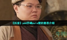 抖音pdd乔峰puls是什么梗-pdd化身史上最胖乔峰梗的意思介绍