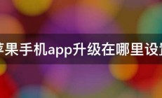 苹果手机app升级在哪里设置 