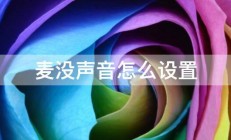 麦没声音怎么设置 