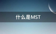 什么是MST 