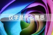 仪字是什么意思 