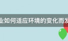 企业如何适应环境的变化而发展 