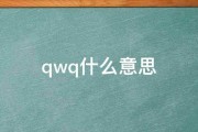 qwq什么意思 