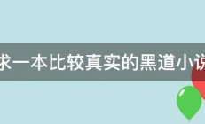 求一本比较真实的黑道小说 