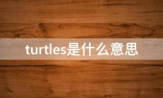 turtles是什么意思 