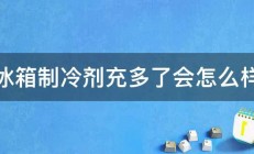 冰箱制冷剂充多了会怎么样 