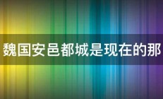 魏国安邑都城是现在的那 