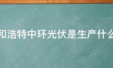 呼和浩特中环光伏是生产什么的 