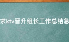 求ktv晋升组长工作总结急 