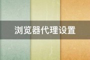 浏览器代理设置 