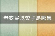 老农民吃饺子是哪集 