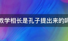 教学相长是孔子提出来的吗 