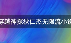 穿越神探狄仁杰无限流小说 