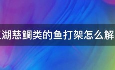 三湖慈鲷类的鱼打架怎么解决 