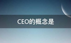 CEO的概念是 