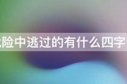 从危险中逃过的有什么四字词语 