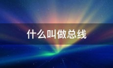 什么叫做总线 