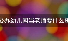 去公办幼儿园当老师要什么资格 