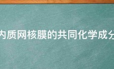 内质网核膜的共同化学成分 