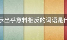 表示出乎意料相反的词语是什么 