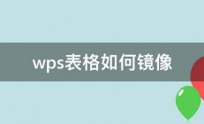 wps表格如何镜像 