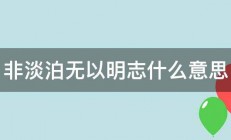 非淡泊无以明志什么意思 