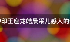 神印王座龙皓晨采儿感人的话 