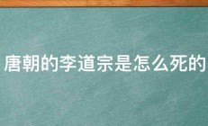 唐朝的李道宗是怎么死的 