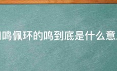 如鸣佩环的鸣到底是什么意思 