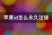 苹果id怎么永久注销 