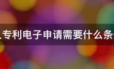 个人专利电子申请需要什么条件吗 