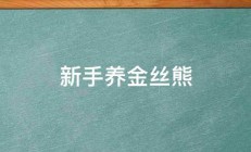 新手养金丝熊 