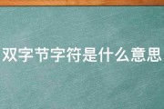 双字节字符是什么意思 