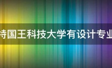 沙特国王科技大学有设计专业么 