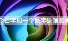 一个口字加一个最字是啥意思啊 