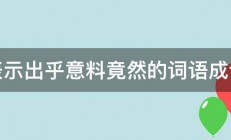 表示出乎意料竟然的词语成语 