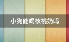 小狗能喝核桃奶吗 