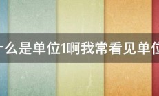 什么是单位1啊我常看见单位1 