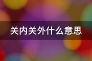 关内关外什么意思 