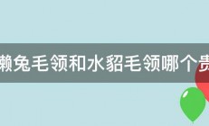 獭兔毛领和水貂毛领哪个贵 