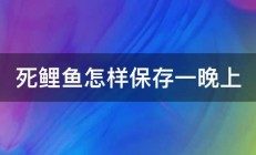 死鲤鱼怎样保存一晚上 