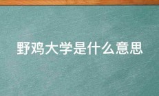 野鸡大学是什么意思 