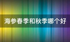 海参春季和秋季哪个好 